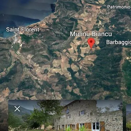 Mulinu Biancu