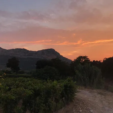 Mulinu Biancu Gæstehus 3*