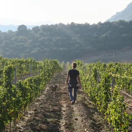 Gæstehus Mulinu Biancu 3*