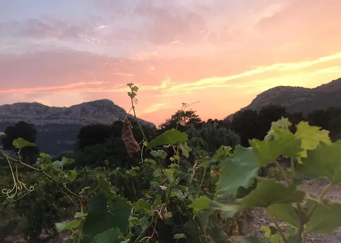 Pensjonat Mulinu Biancu