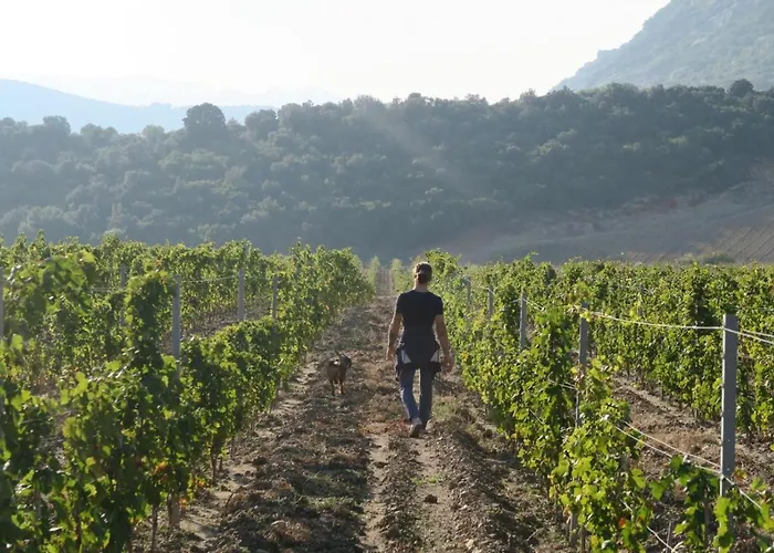 Pensjonat Mulinu Biancu 3*