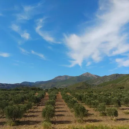 Affittacamere Mulinu Biancu Poggio-d'Oletta