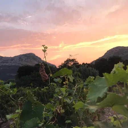 Pensión Mulinu Biancu